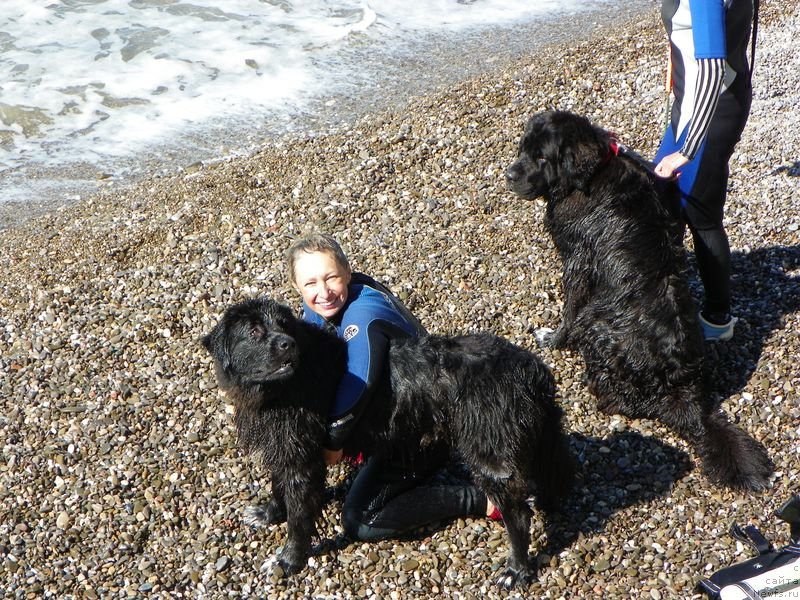 Фотография № 136954