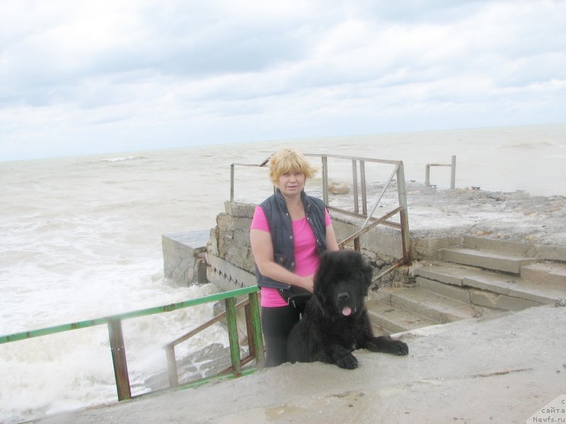 Фотография № 136976