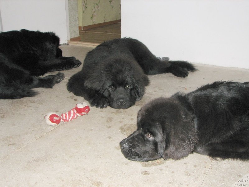 Фотография № 136980