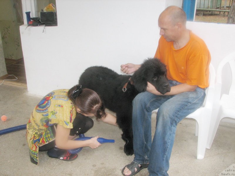 Фотография № 136987