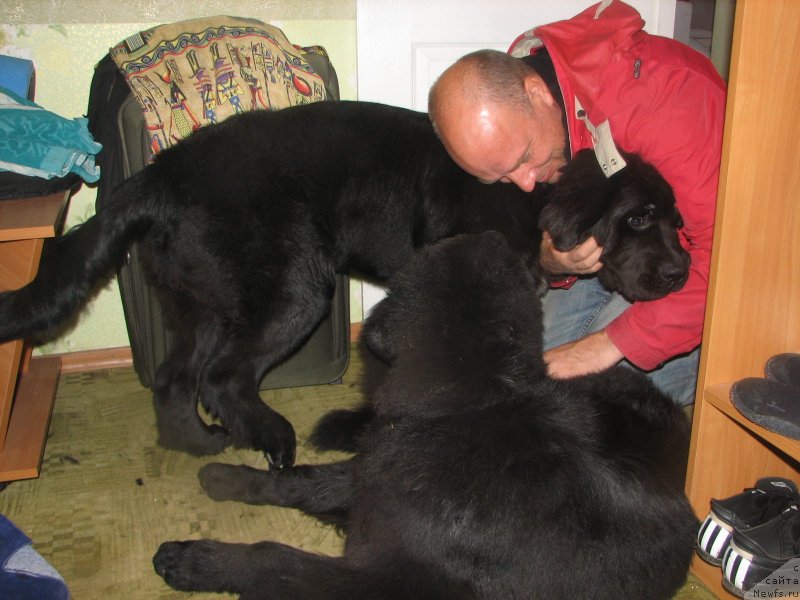 Фотография № 136999