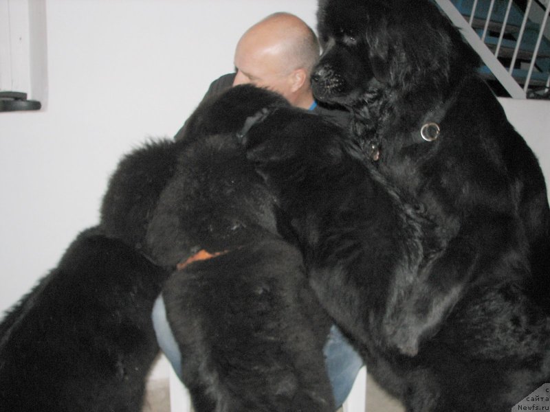 Фотография № 137001