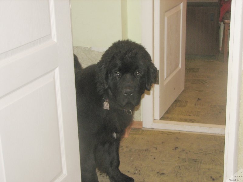 Фотография № 137008