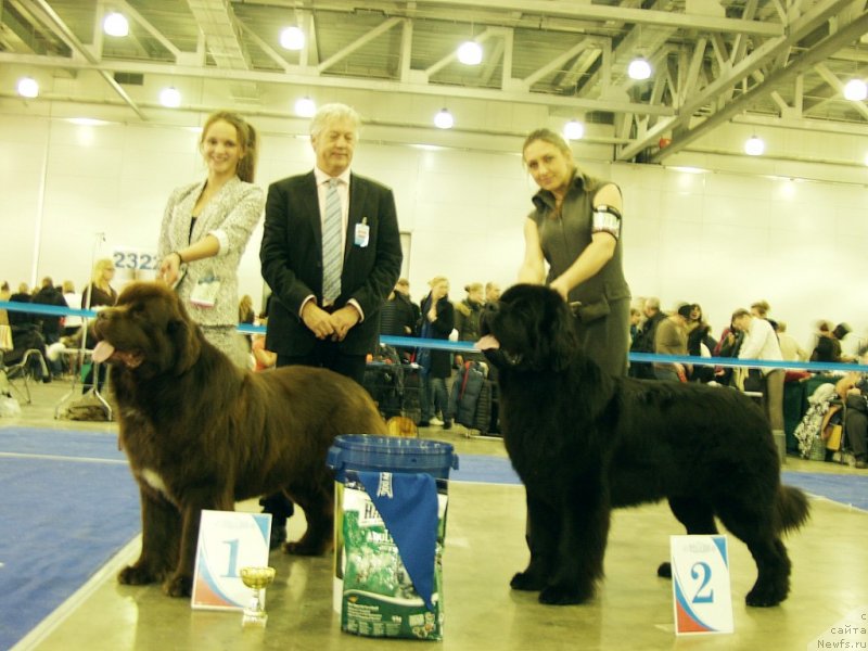 Фотография № 137143