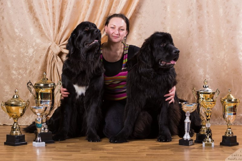 Фотография № 137177