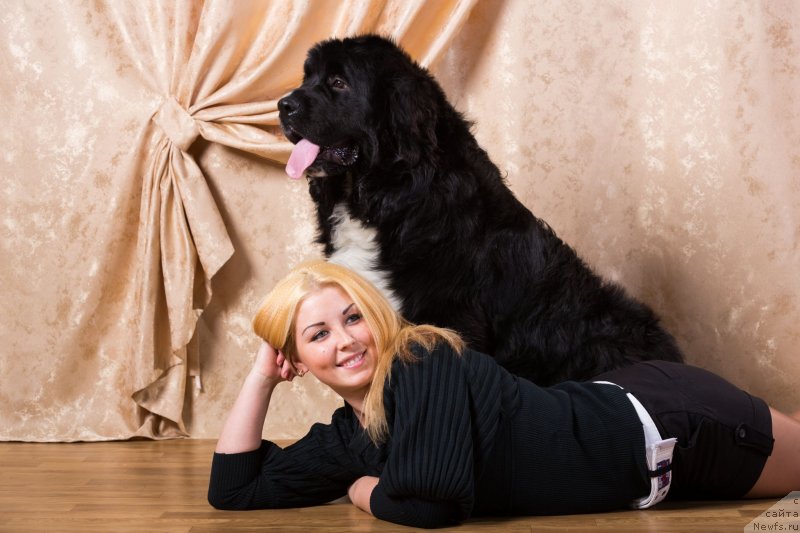 Фотография № 137179