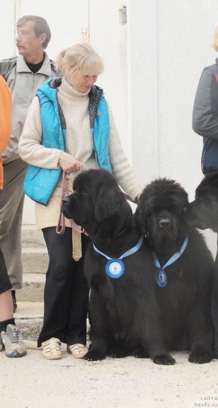 Фотография № 137224