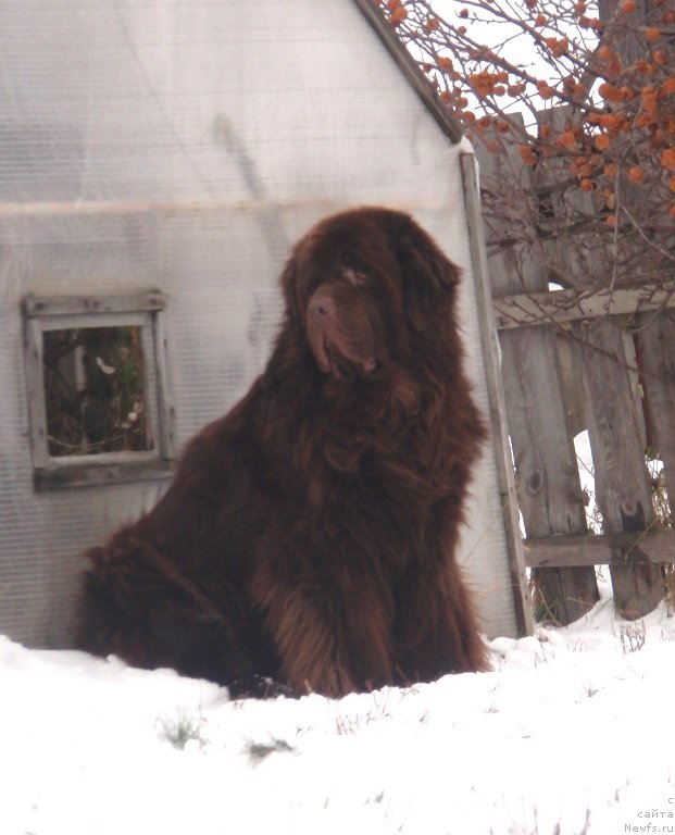 Фотография № 137278