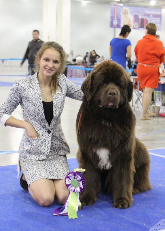 Фотография № 137279