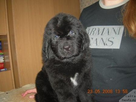 Фото: Габи Клеопатра Альфа