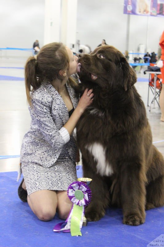 Фотография № 137280