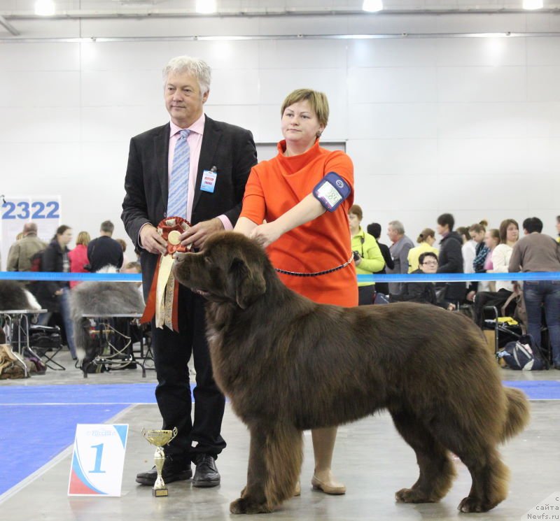 Фотография № 137286