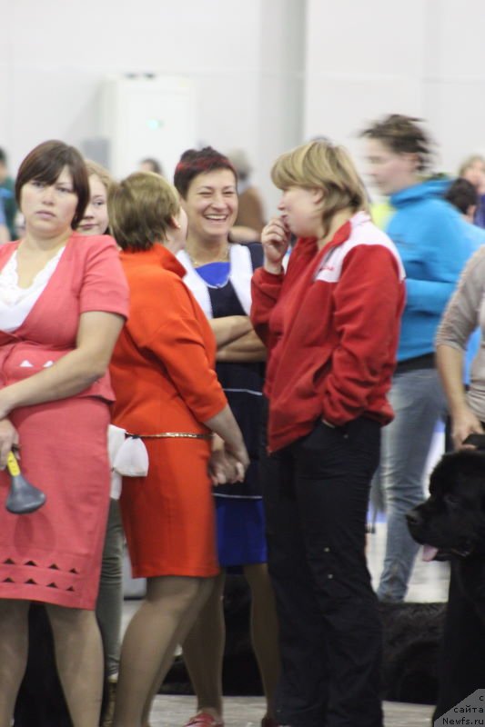 Фотография № 137288