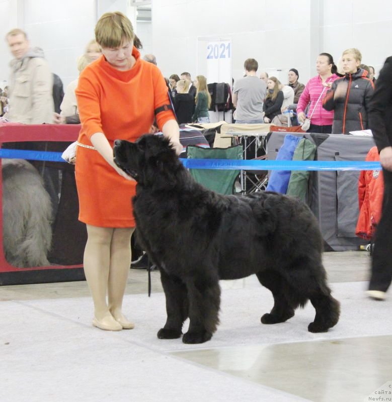 Фотография № 137291