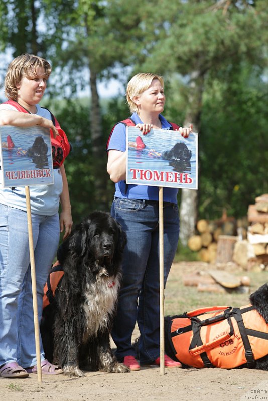 Фотография № 137295