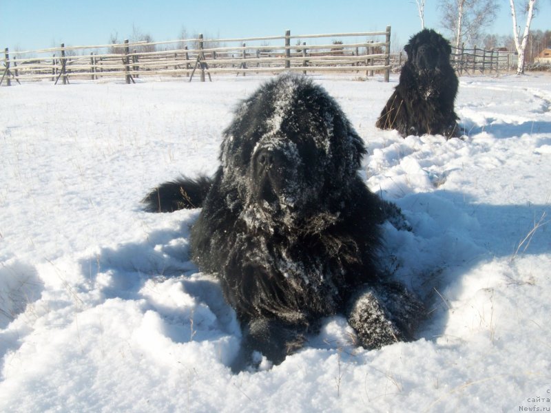 Фотография № 137303