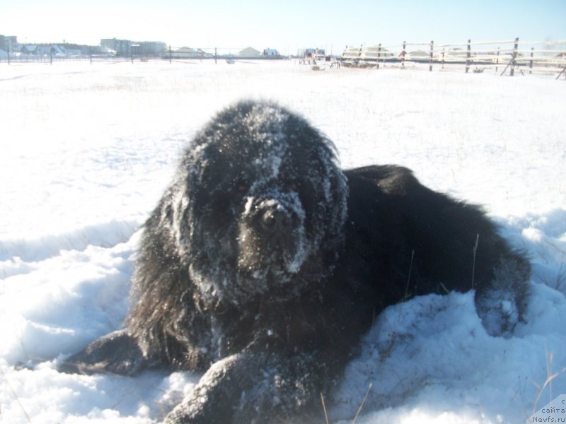 Фотография № 137304