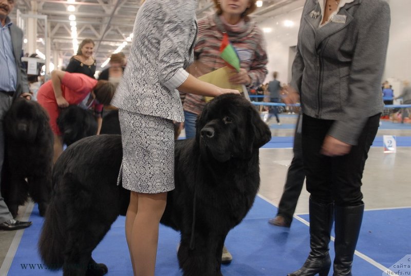 Фотография № 137322