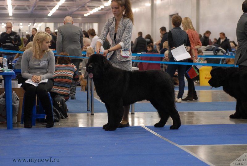 Фотография № 137329