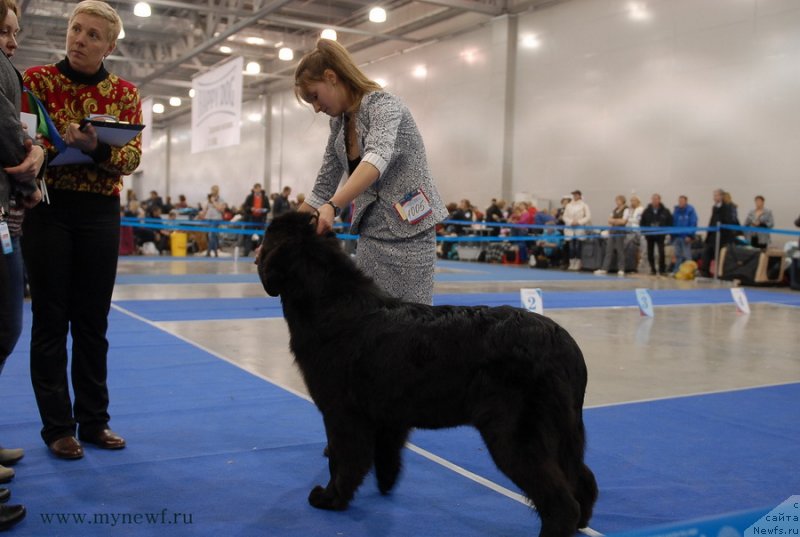 Фотография № 137334