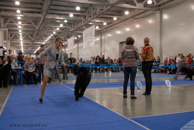 Фотография № 137337