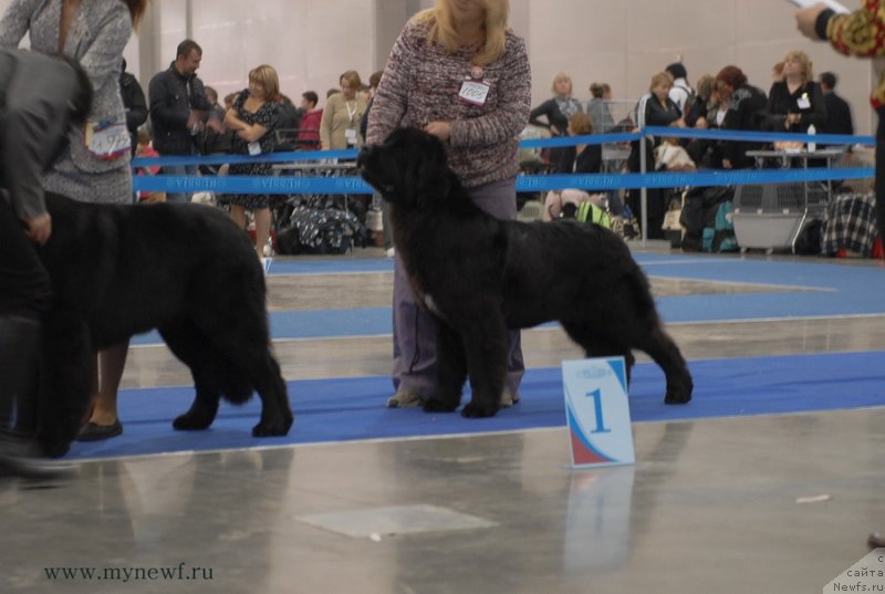 Фотография № 137338