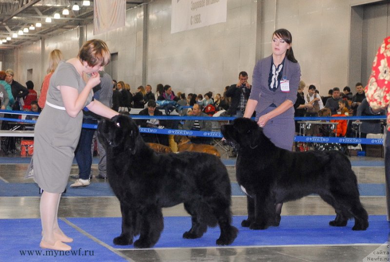 Фотография № 137345