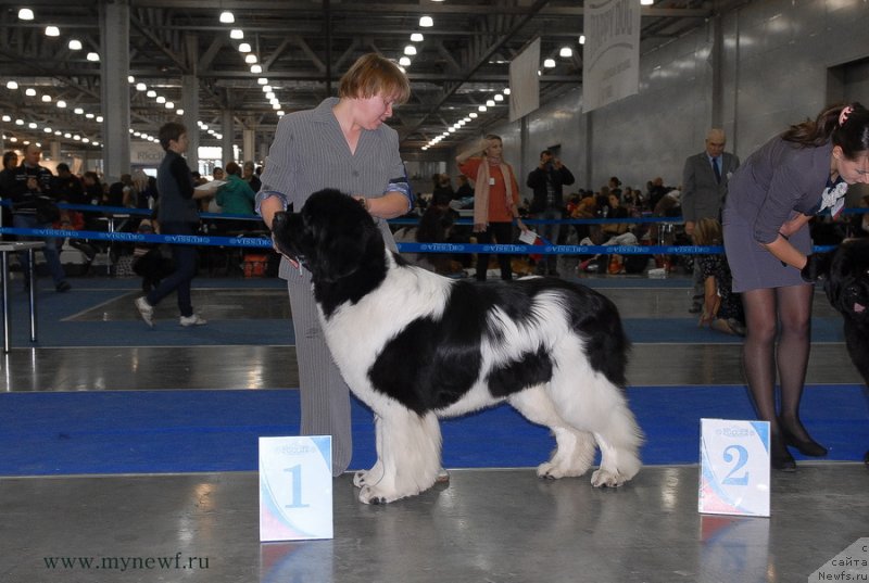 Фотография № 137346