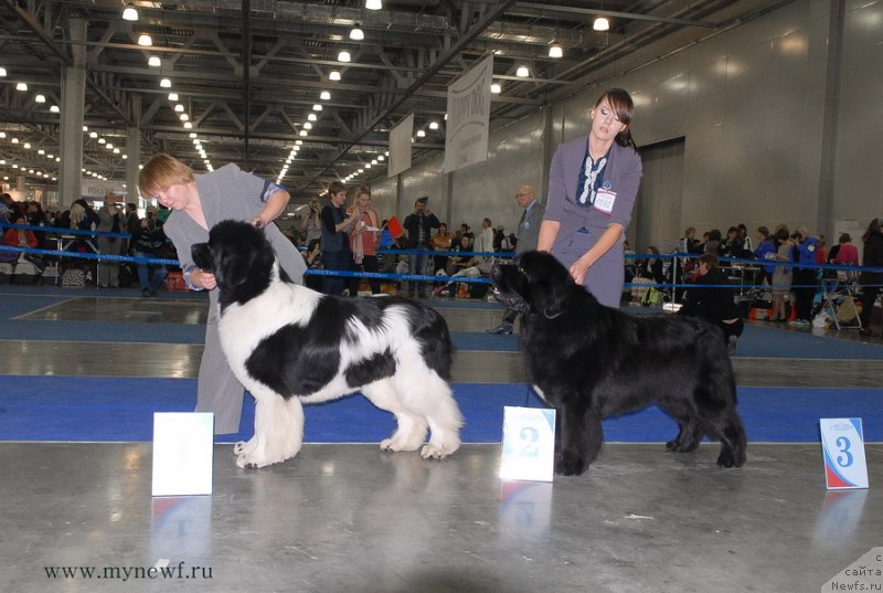 Фотография № 137348