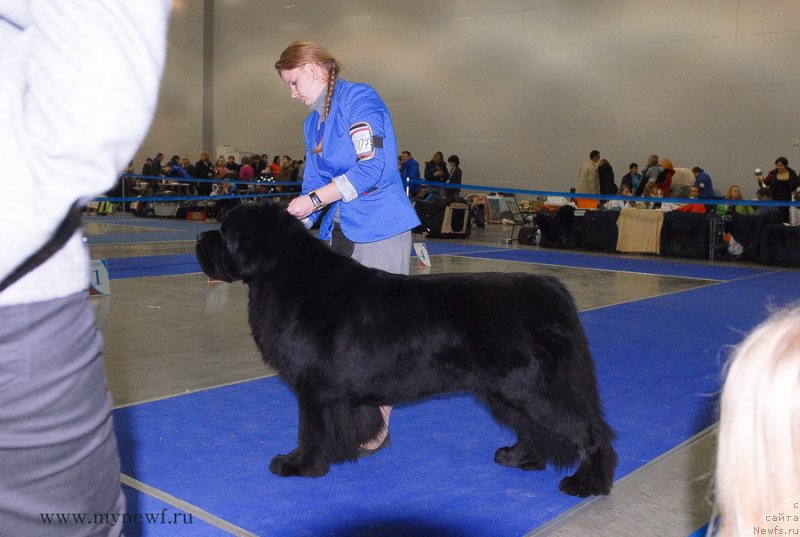 Фотография № 137350