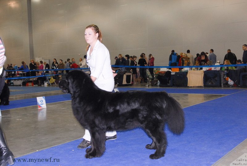 Фотография № 137351