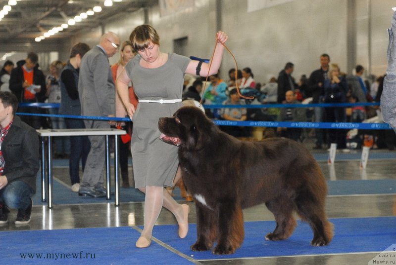 Фотография № 137352