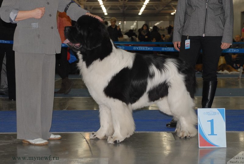 Фотография № 137353