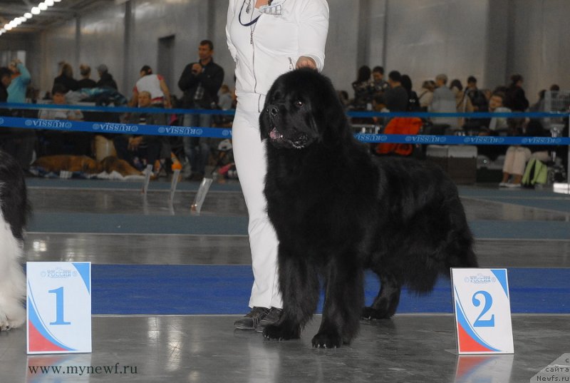 Фотография № 137354