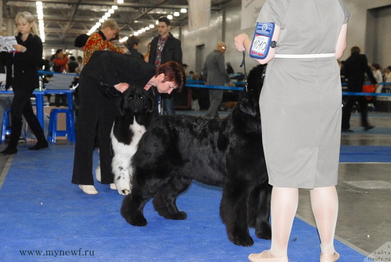 Фотография № 137355