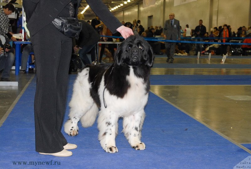 Фотография № 137358