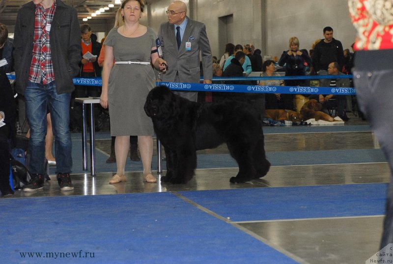 Фотография № 137360