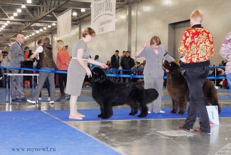 Фотография № 137372