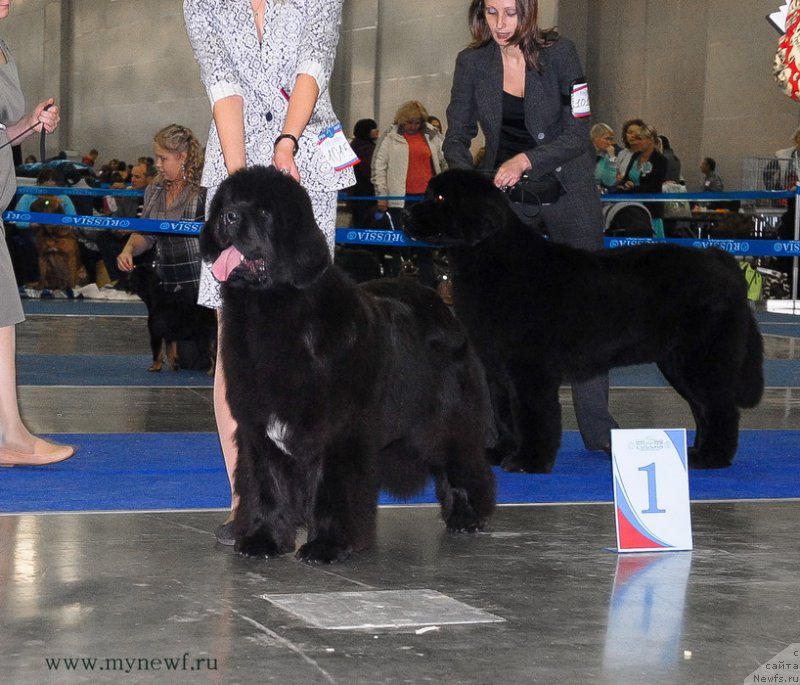 Фотография № 137374