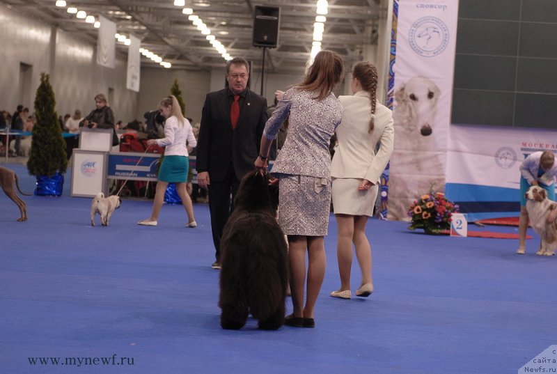 Фотография № 137378