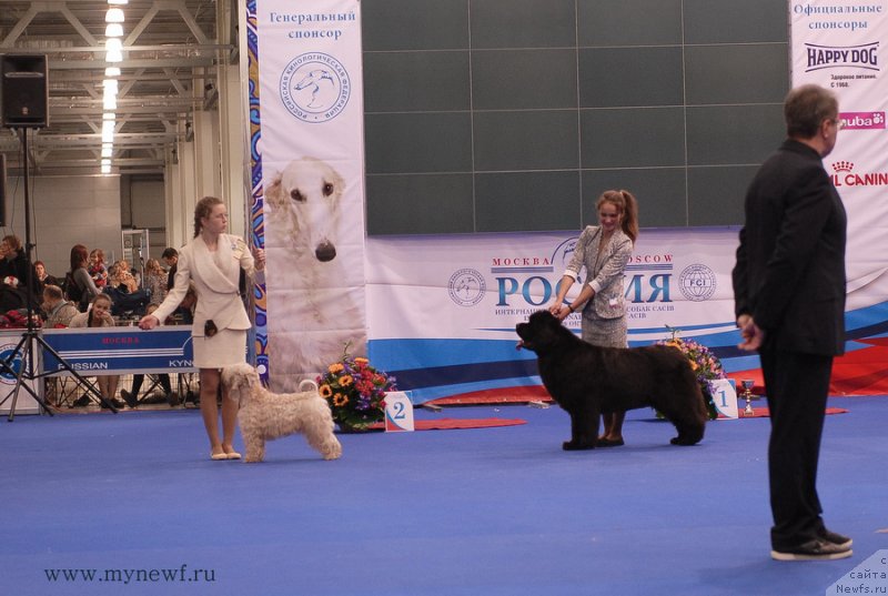 Фотография № 137379