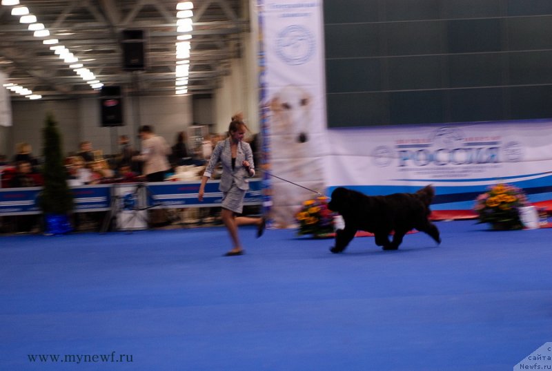 Фотография № 137381