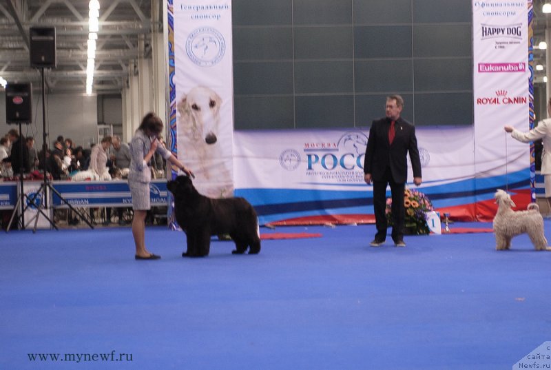 Фотография № 137383