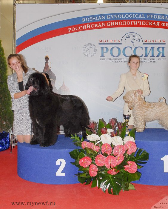 Фотография № 137388