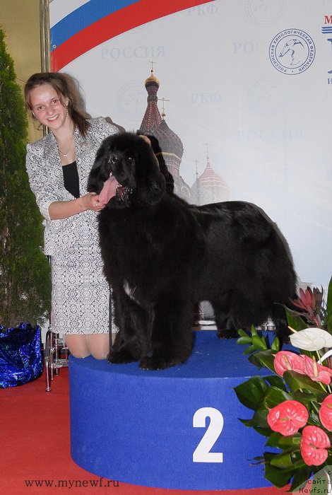 Фотография № 137389