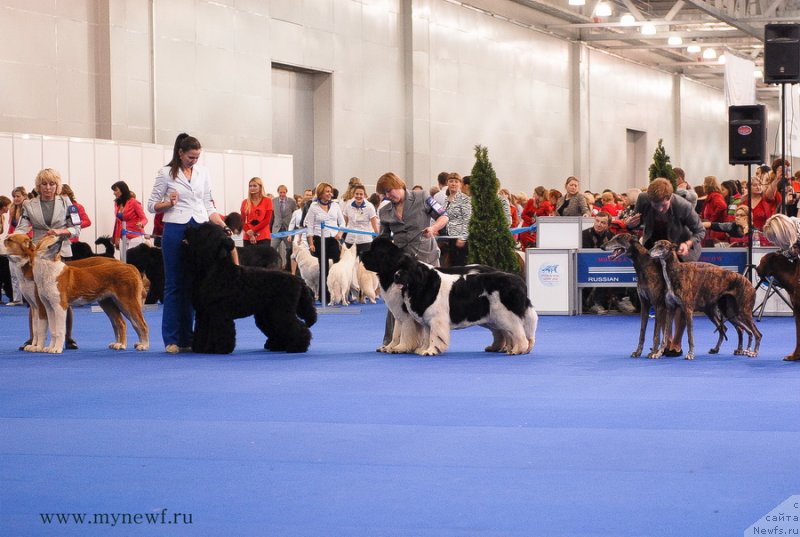 Фотография № 137391