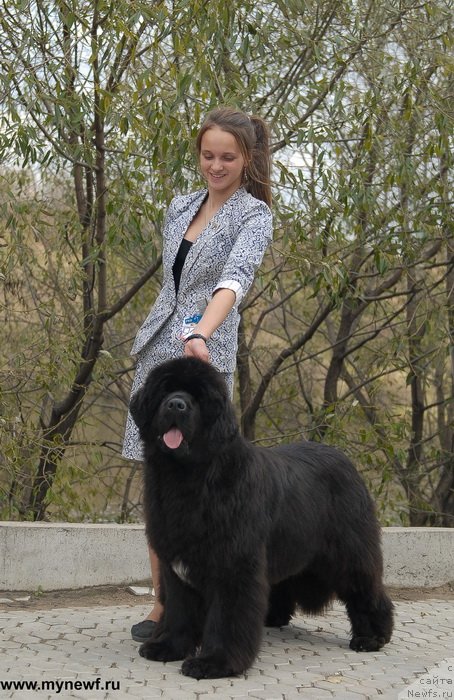 Фотография № 137397