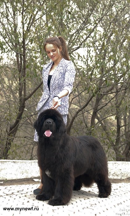 Фотография № 137398