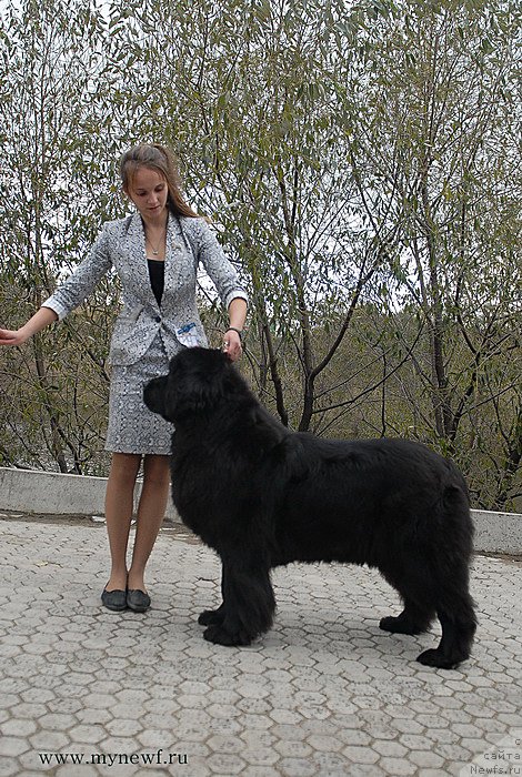 Фотография № 137401