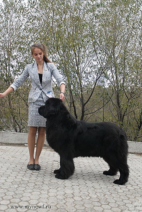 Фотография № 137402